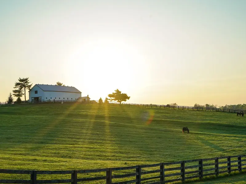 Sunrise over a Kentucky horse farm and its plank fence